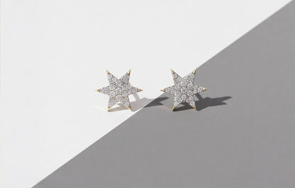 10kt Yellow Gold Natural Diamond Star Stud Earrings 0.15ct — styling look 3